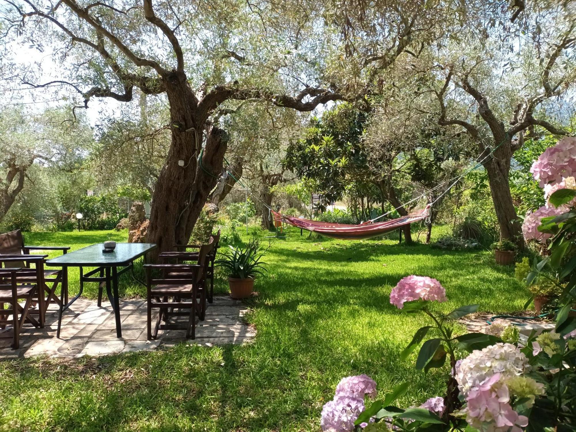 Hotel George Chrysi Ammoudia Habitación foto